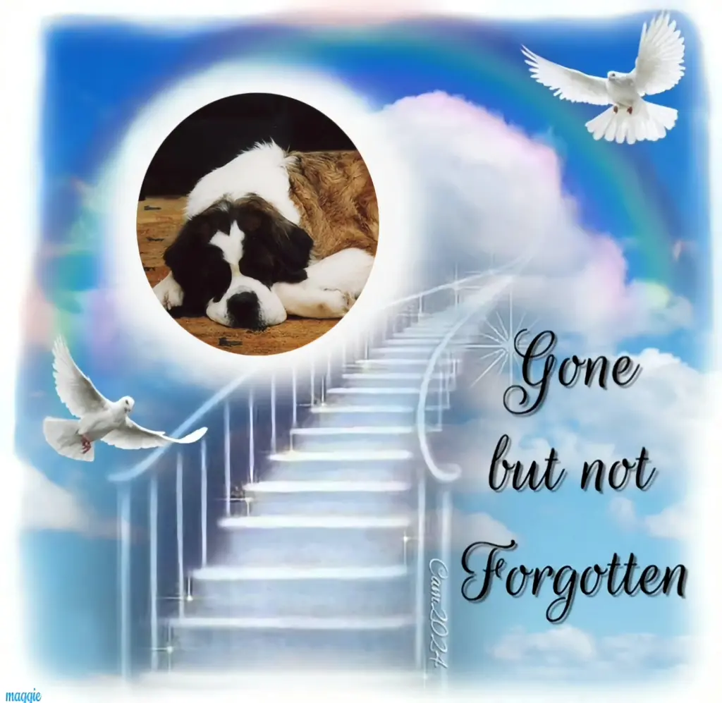 Andachtsbild von ❤️18.Sternchen⭐️Gedenktag❤️❤️❤️