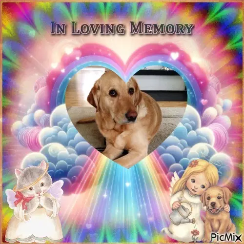 Andachtsbild von ❤️❤️❤️❤️❤️❤️❤️❤️❤️❤️❤️❤️