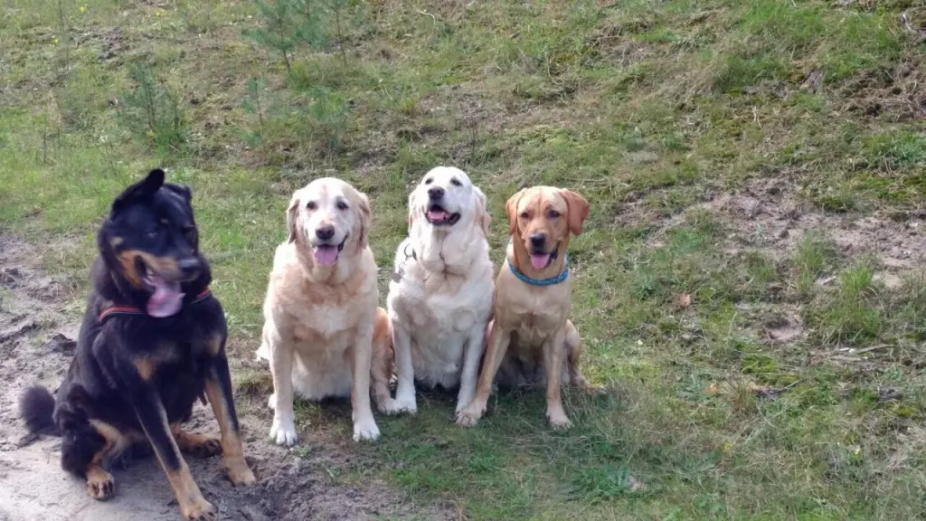 Andachtsbild von Brigitta