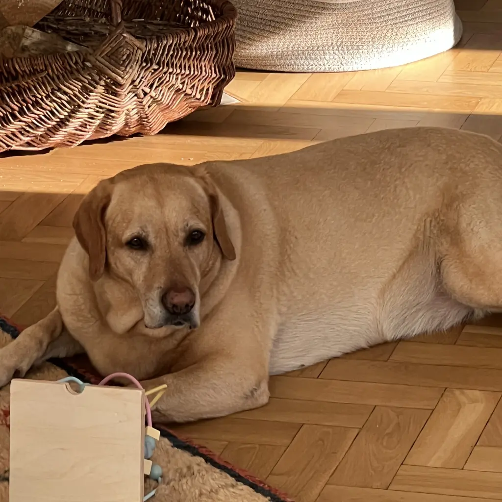 Andachtsbild von Brigitta