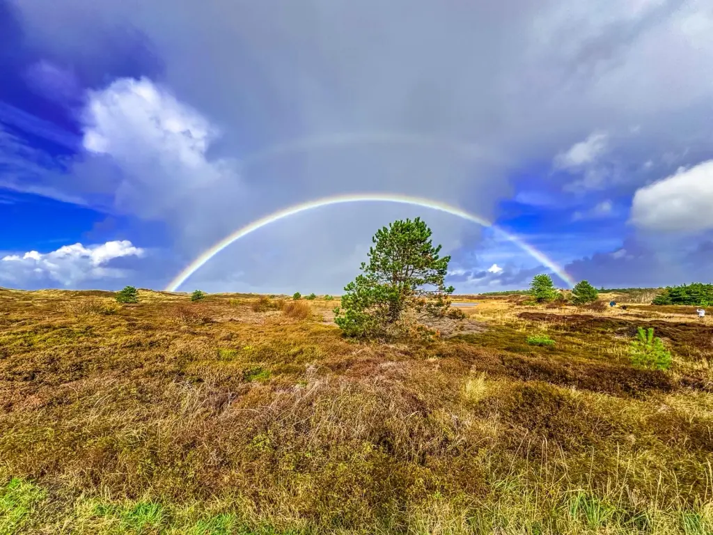 Andachtsbild von Brigitta