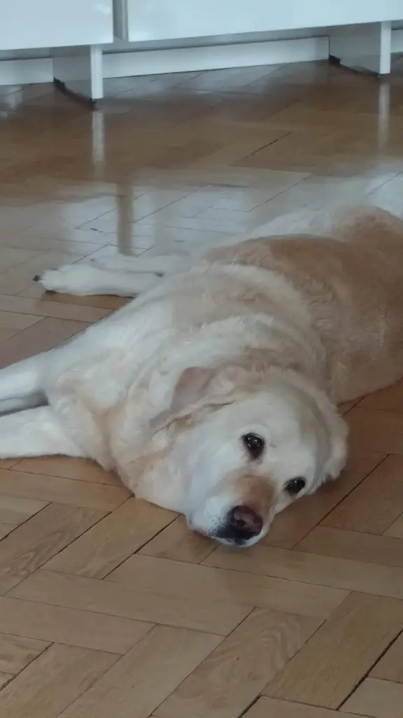 Condolence image of Brigitta