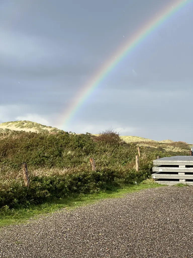Condolence image of Brigitta