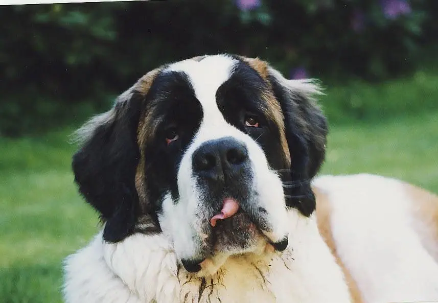 Condolence image of Brigitta