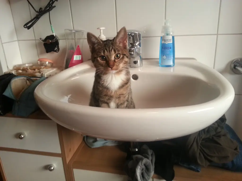 Bild von Minimie
