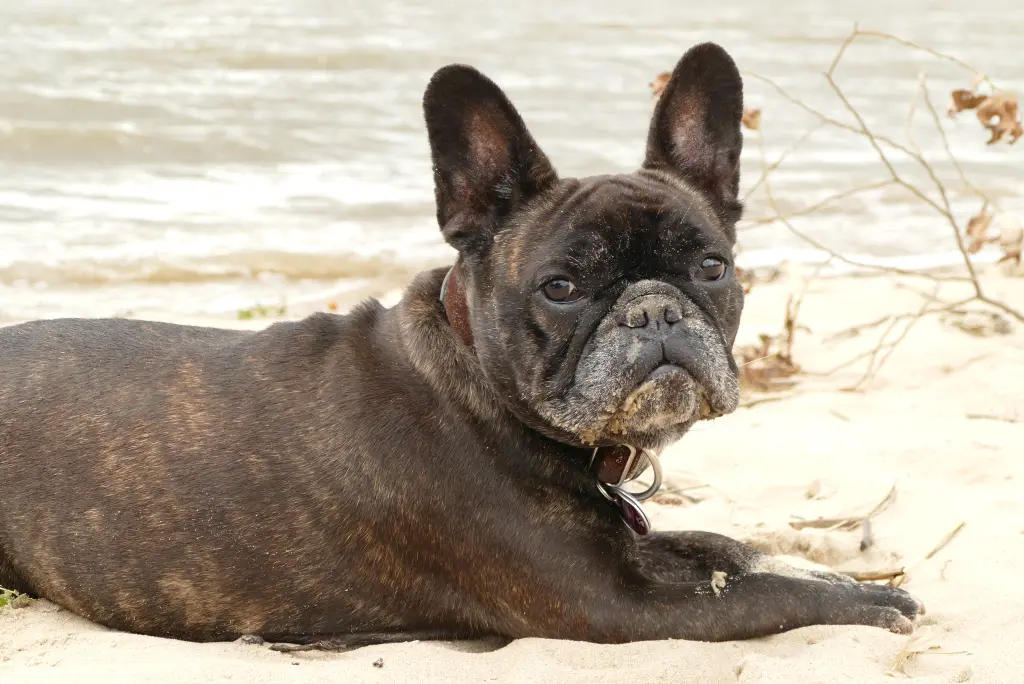 Condolence image of Conny