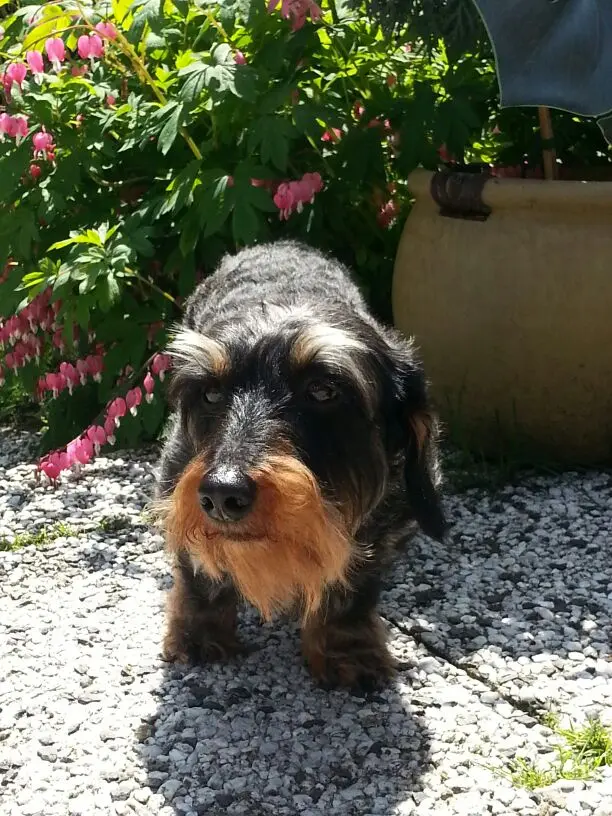 Image from Ursel