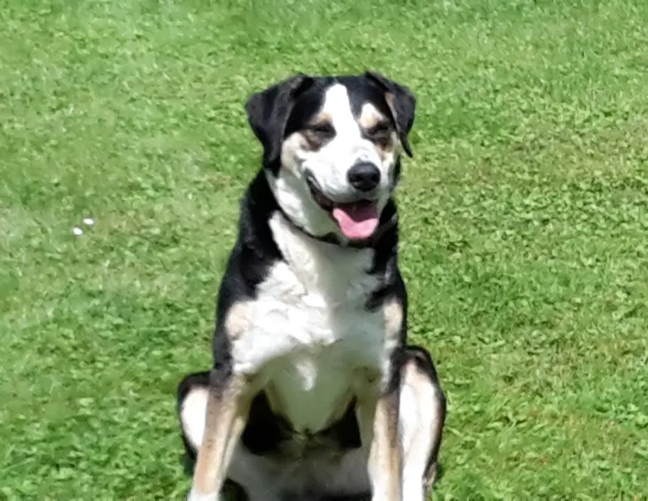 Bild von Ayla