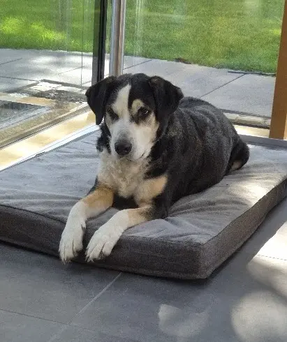 Bild von Ayla