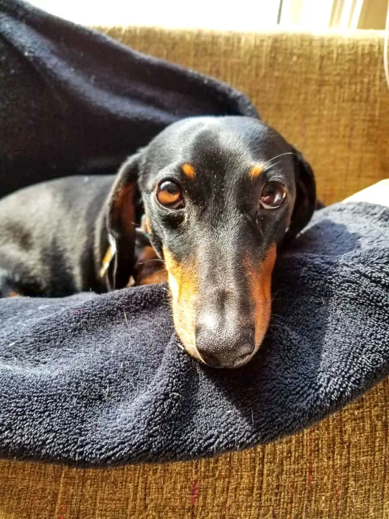 A sun-worshiper