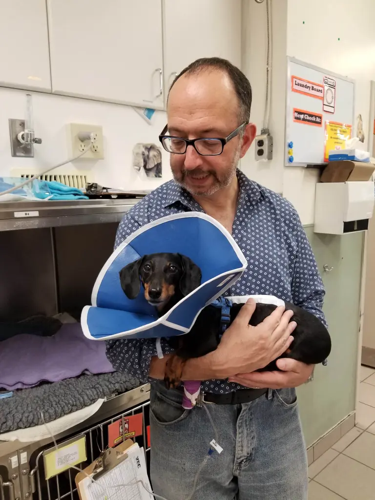 Post back surgery