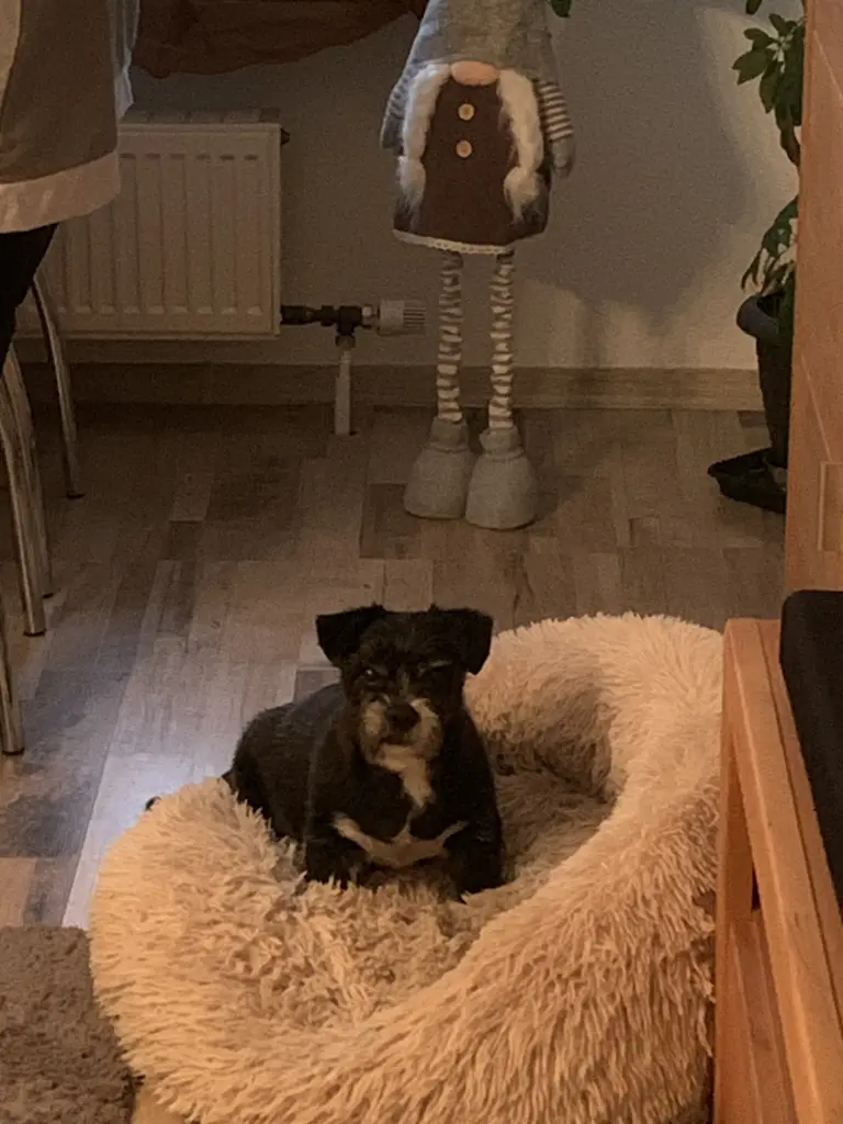 Spannung