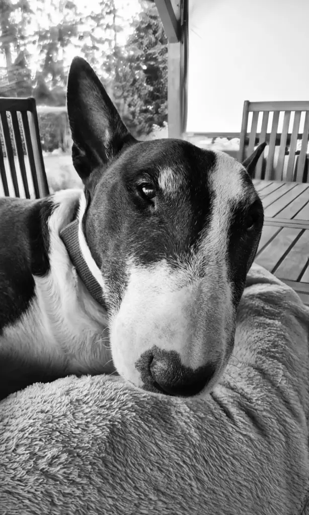Image from Loki ❤️