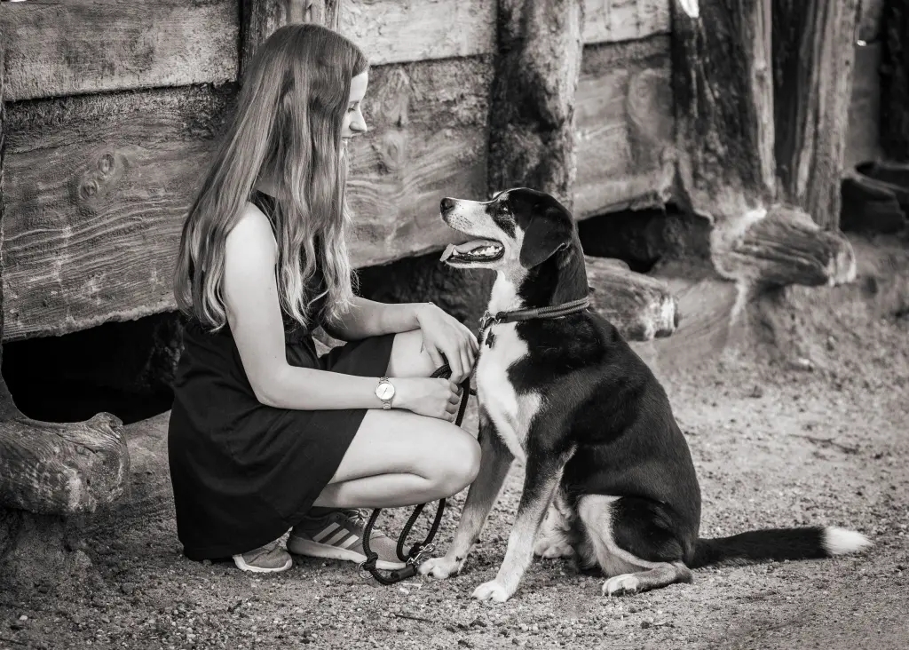 Souldog🐾❤️