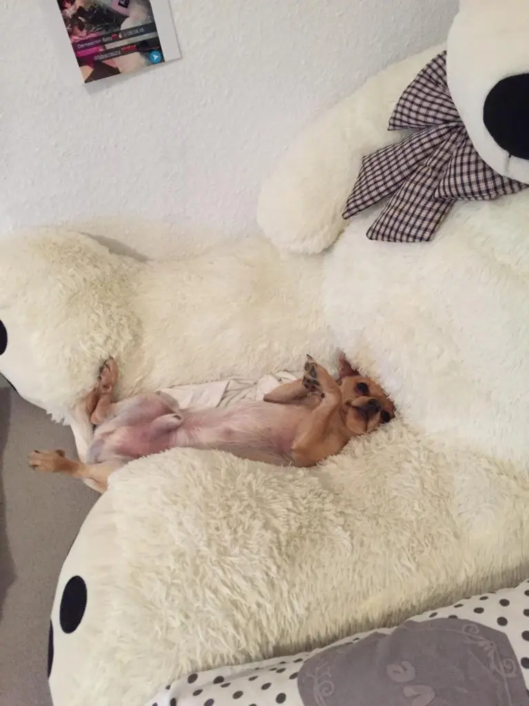 Bild von Samy