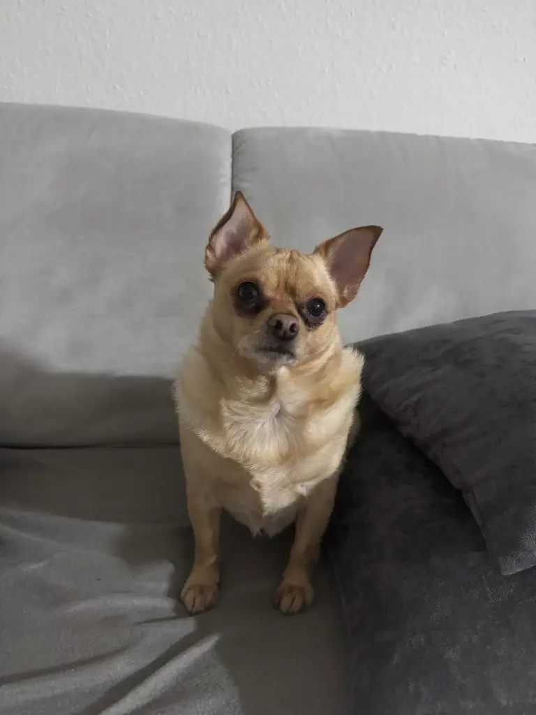 Bild von Samy