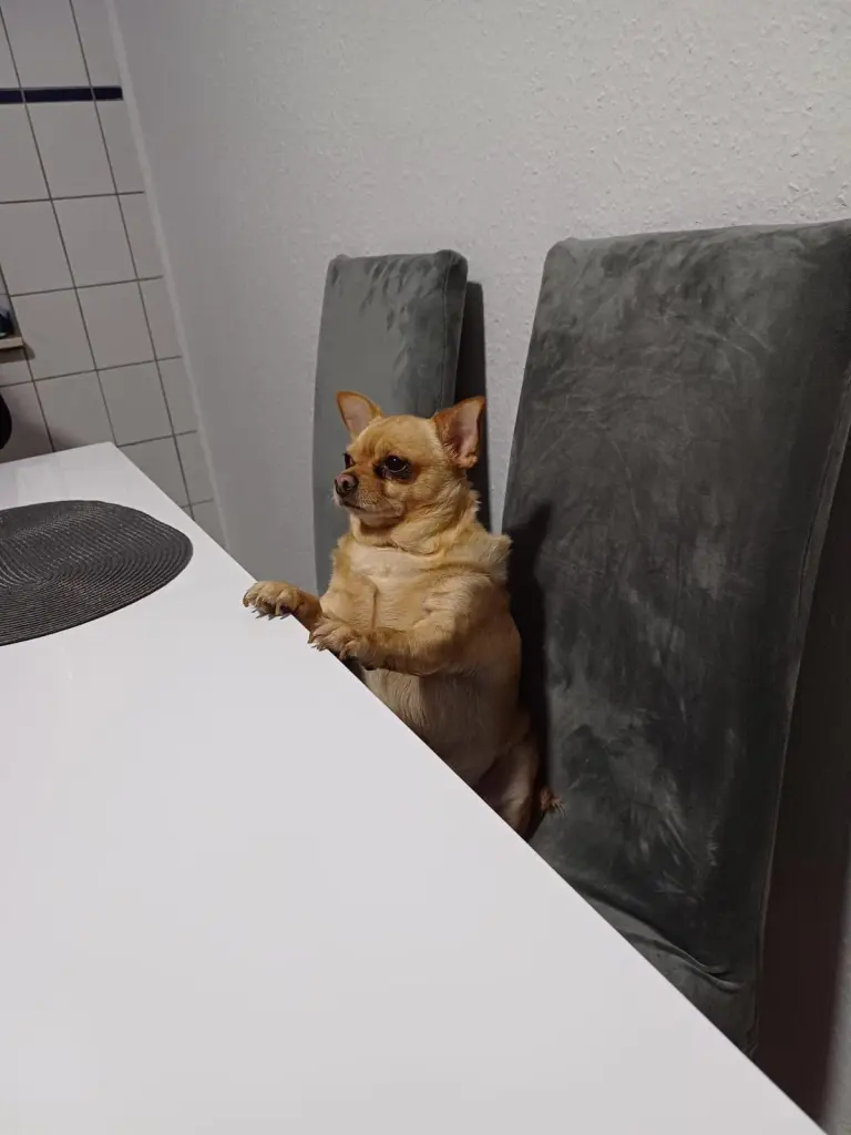 Bild von Samy