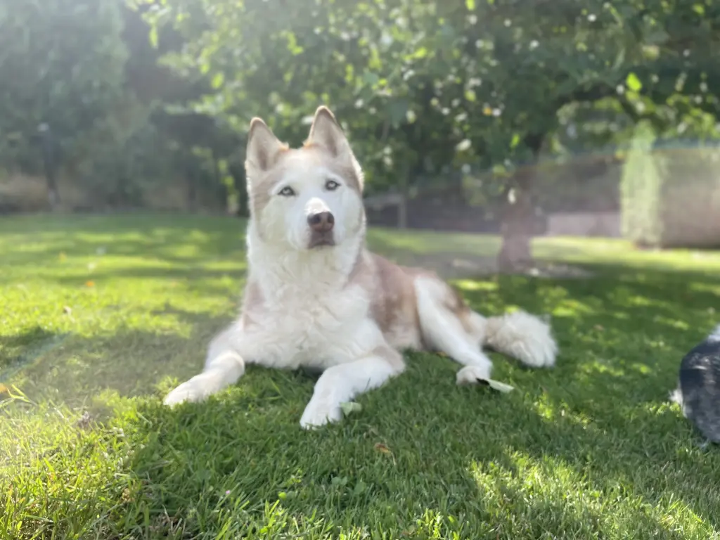 Bild von Sky
