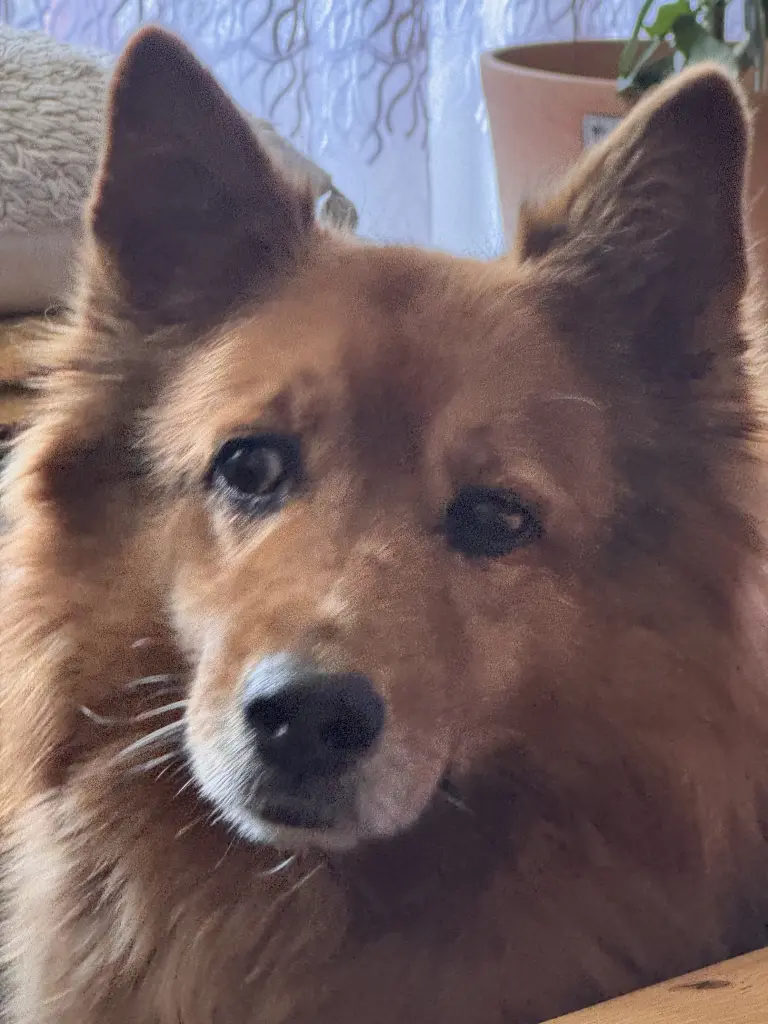 Bild von Zeus