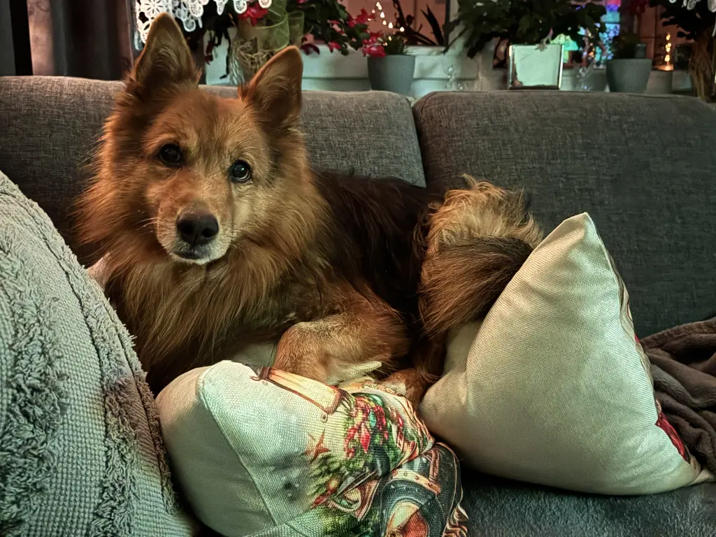 Bild von Zeus