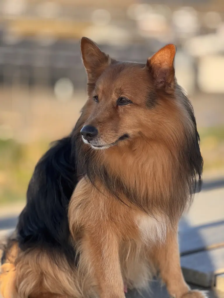 Bild von Zeus
