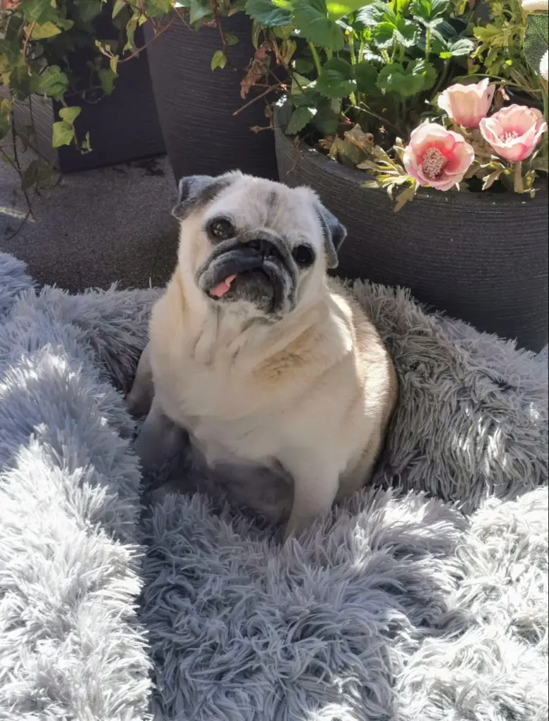 Bild von Gretchen