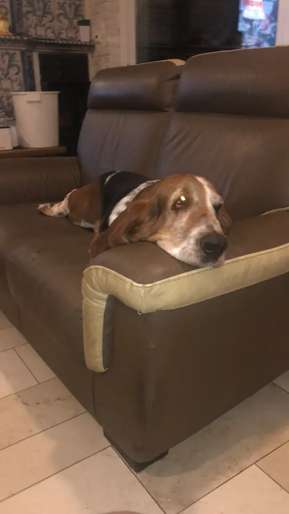 Image from Bentley