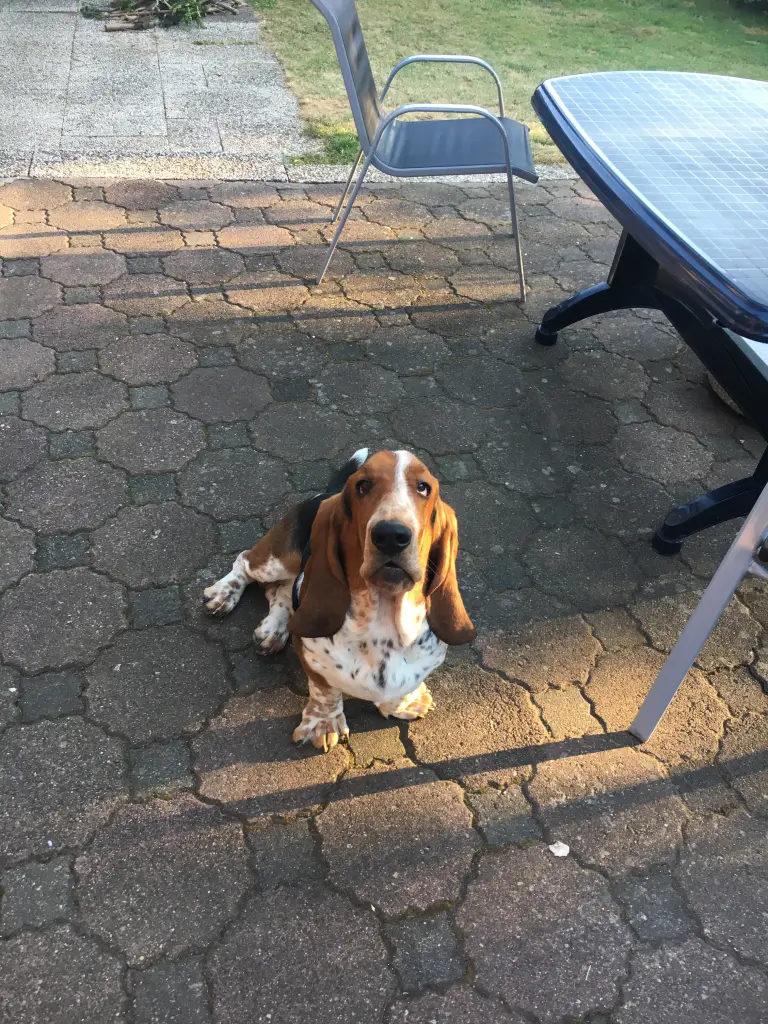 Image from Bentley