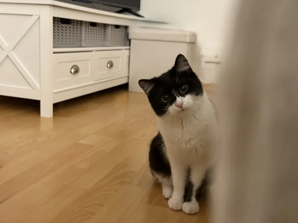 Bild von Lilly