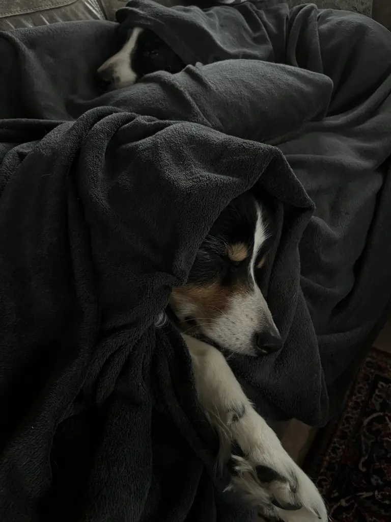 Andachtsbild von Maybrit <3