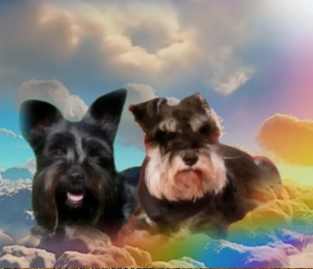 Condolence image of Iris mit Linus und Eliot im ♥