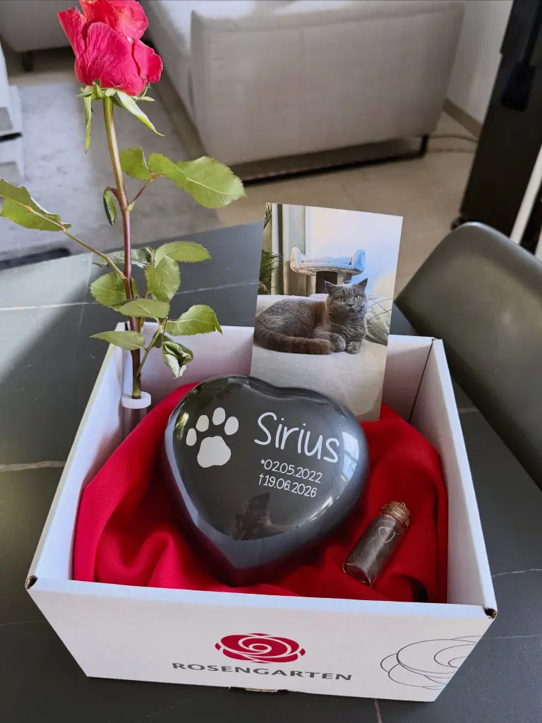 Bild von Sirius