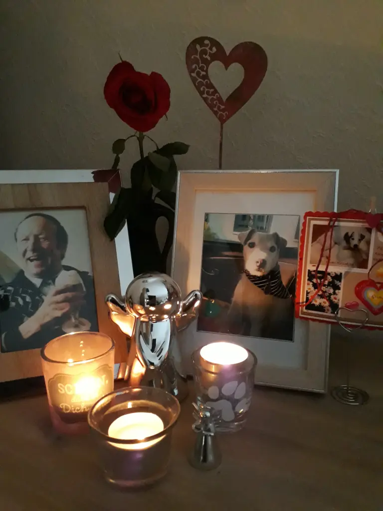 Condolence image of Kerstin mit Gismo im Herzen 