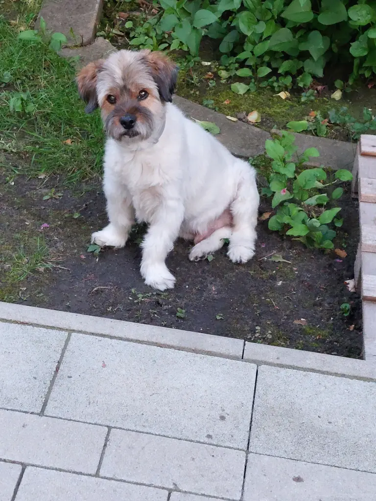 Bild von Kevin