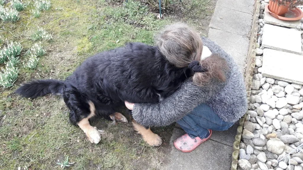 Condolence image of Gabi mit Wolfi tief im Herzen
