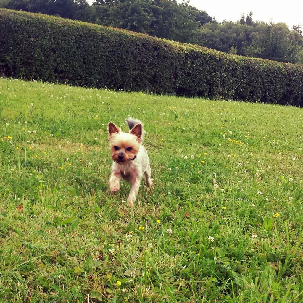Bild von Mia