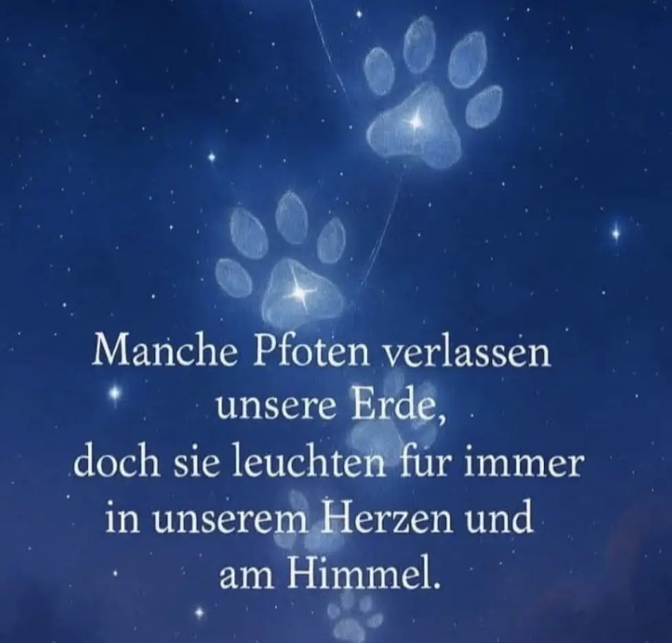 Andachtsbild von Janine und Oli
