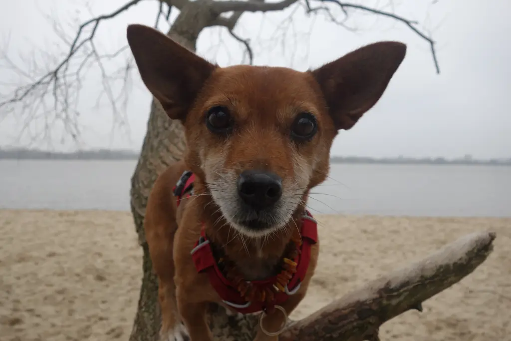 Bild von Lena
