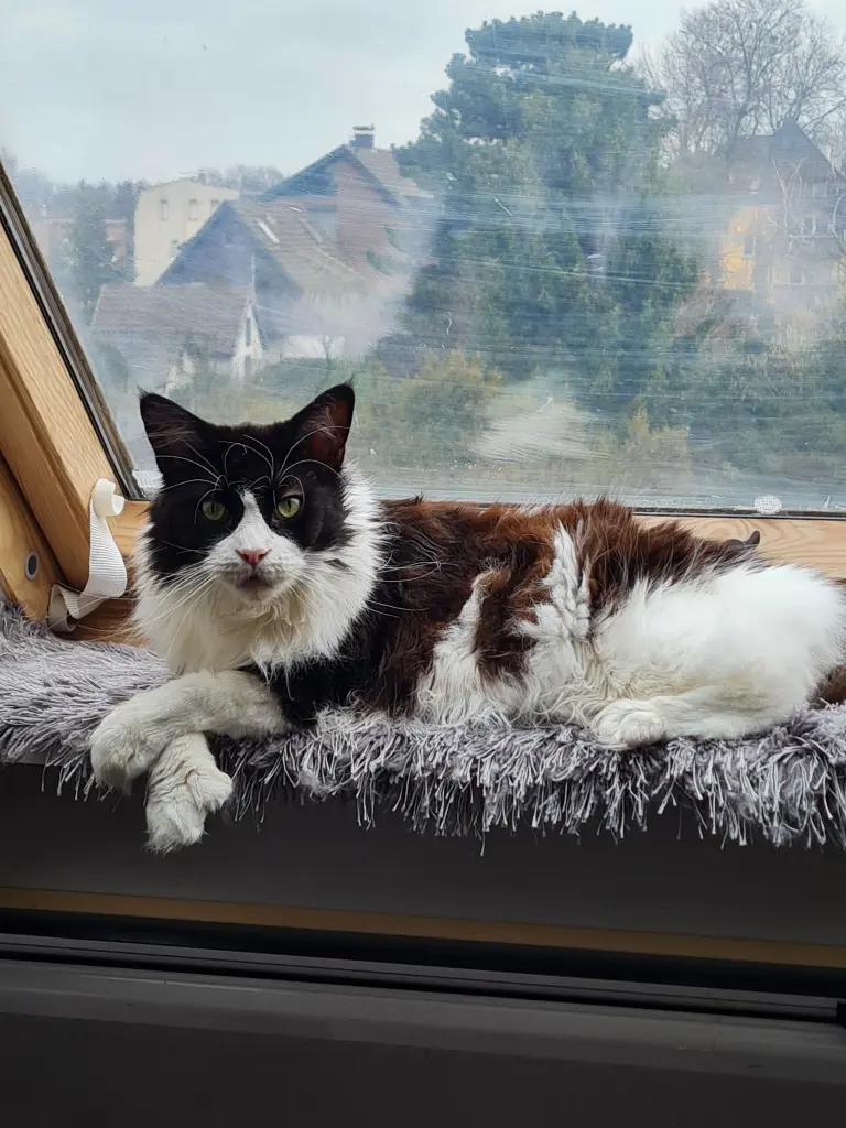 Image from Skye