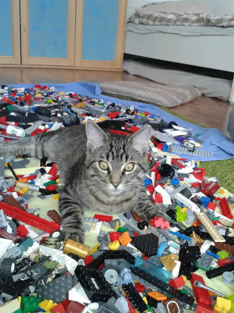 Image from Button