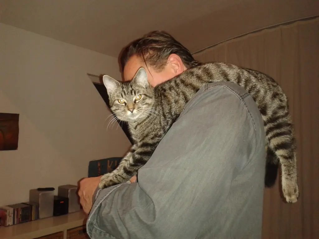 Image from Button