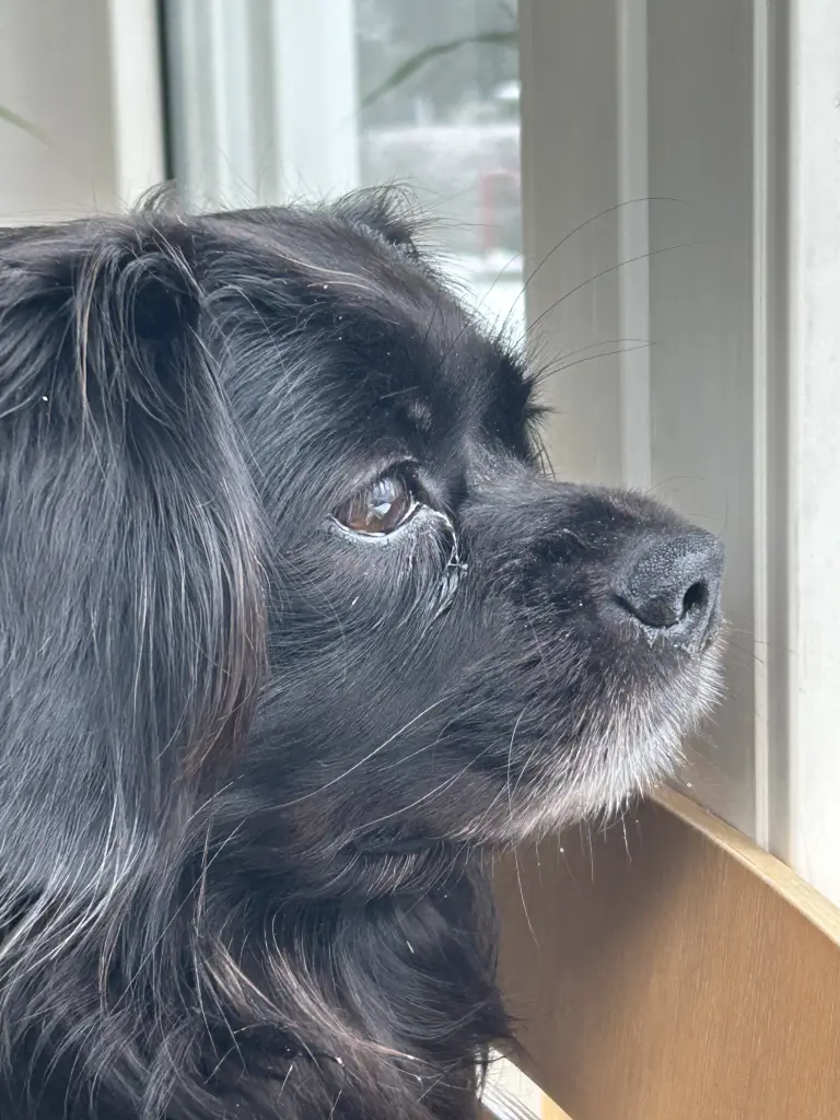 Bild von Luki