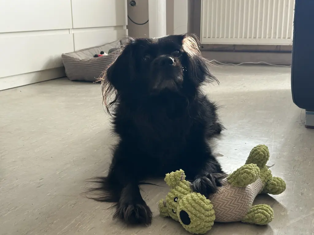 Bild von Luki