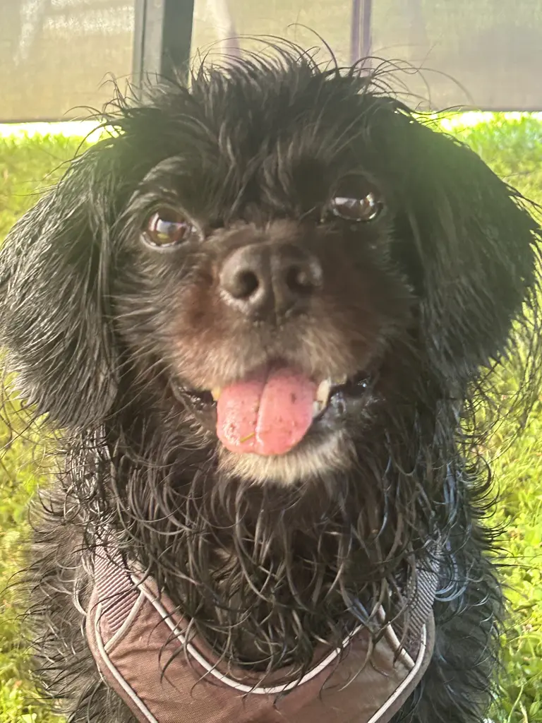 Bild von Luki