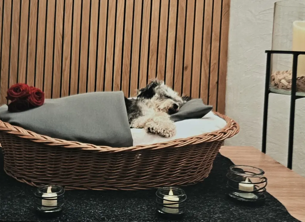 Bild von Rosi