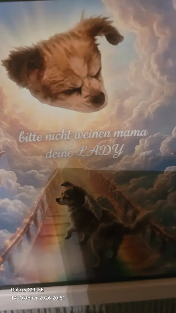 Andachtsbild von Elke Tabel