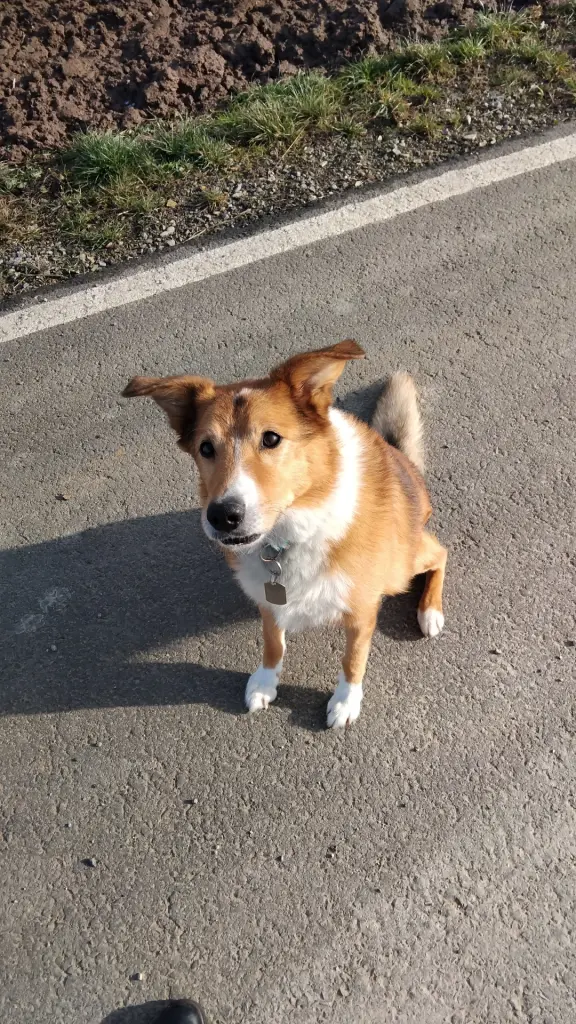 Bild von Blitz