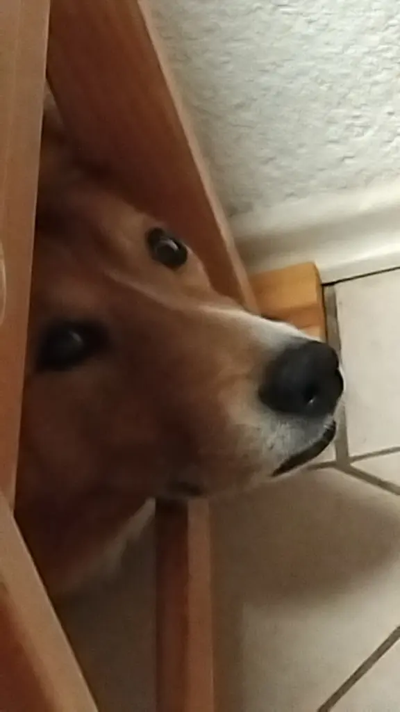 Bild von Blitz