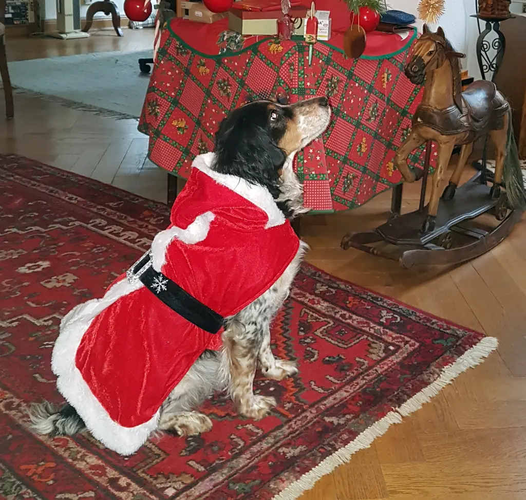 Weihnachtslottie