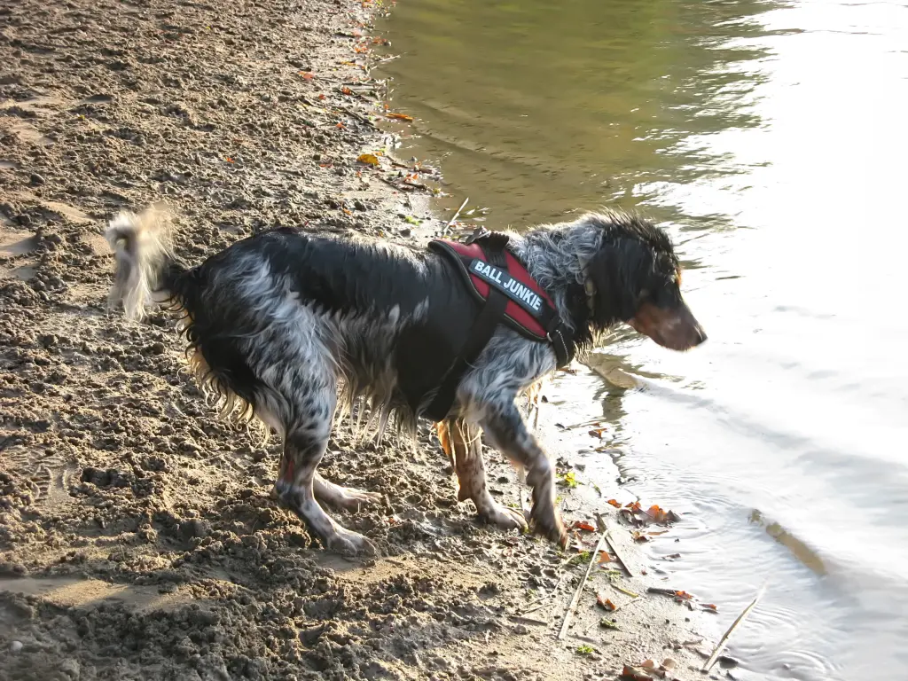 Ab in den See